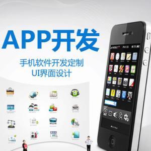 武漢APP定制開發與微信小程序設計 打造您的移動數字化解決方案